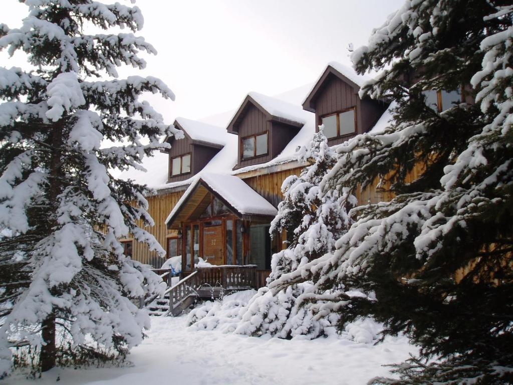 a lodge in the snow with snow covered trees at La Grange Country Inn in Wakefield