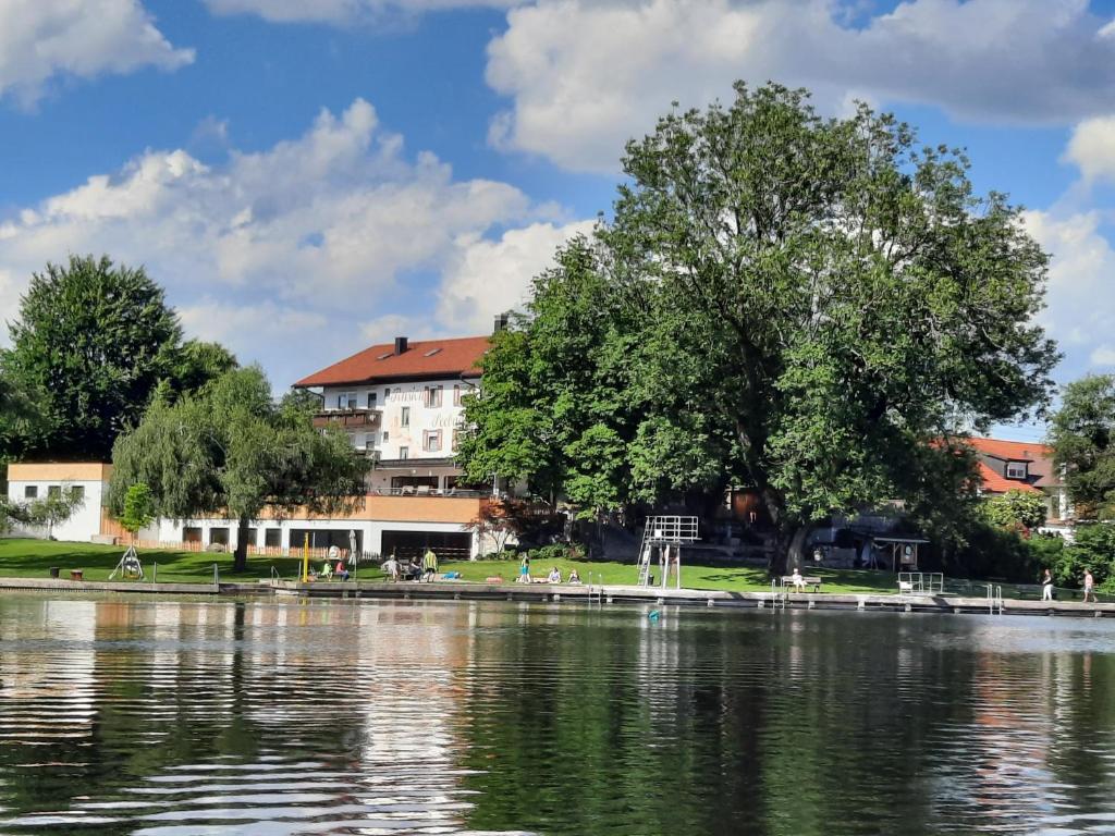 un árbol a un lado de un lago en Hotel-Pension Seebad "Seegenuss-Natur-Spa", en Sulzberg