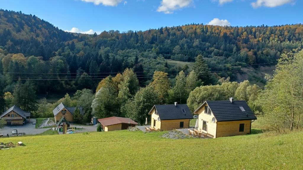 un grupo de casas en una colina con árboles en Leśny dzban, en Komańcza