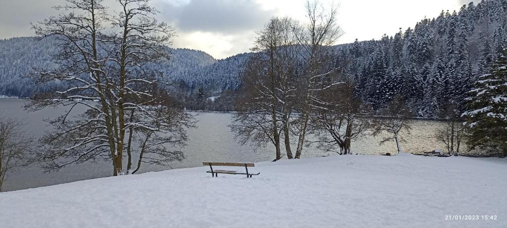 A 2 pas du lac under vintern