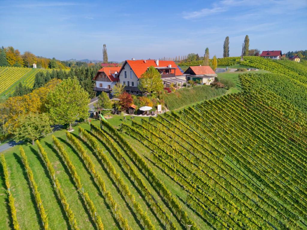 an aerial view of a vineyard and a house on a hill at Gästehaus Dworschak in Leutschach