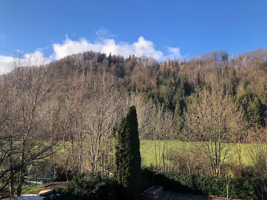 un árbol en un campo frente a una montaña en Casa MÓRE en Niederalm