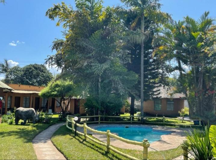 a house with a pool with a elephant in the yard at REED MAT LODGE in Lusaka