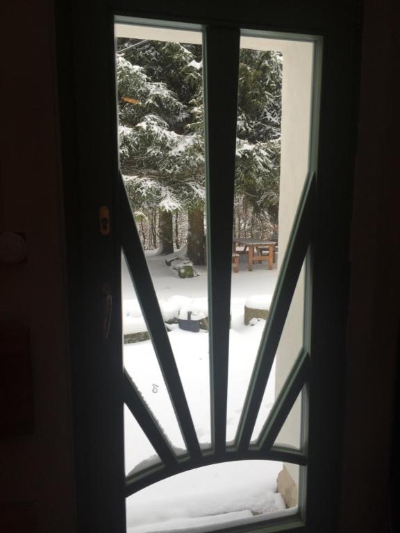 ENJOY COZY Tree House Hills Forest Gardens Beautiful Views Sauna Hotbath v zimě