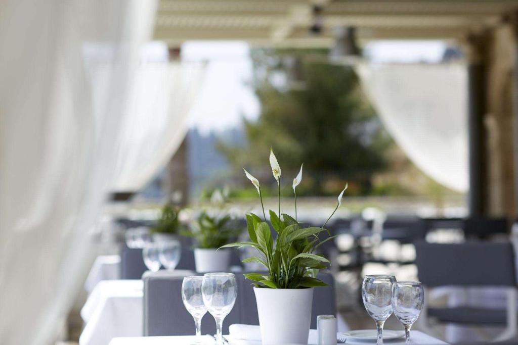 Reštaurácia alebo iné gastronomické zariadenie v ubytovaní Mon Repos Palace - Adults Only