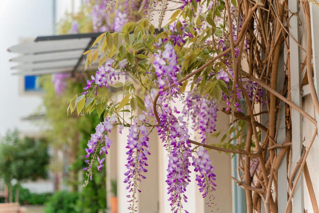 Hofgarten 1824 Hotel garni - Resim 2