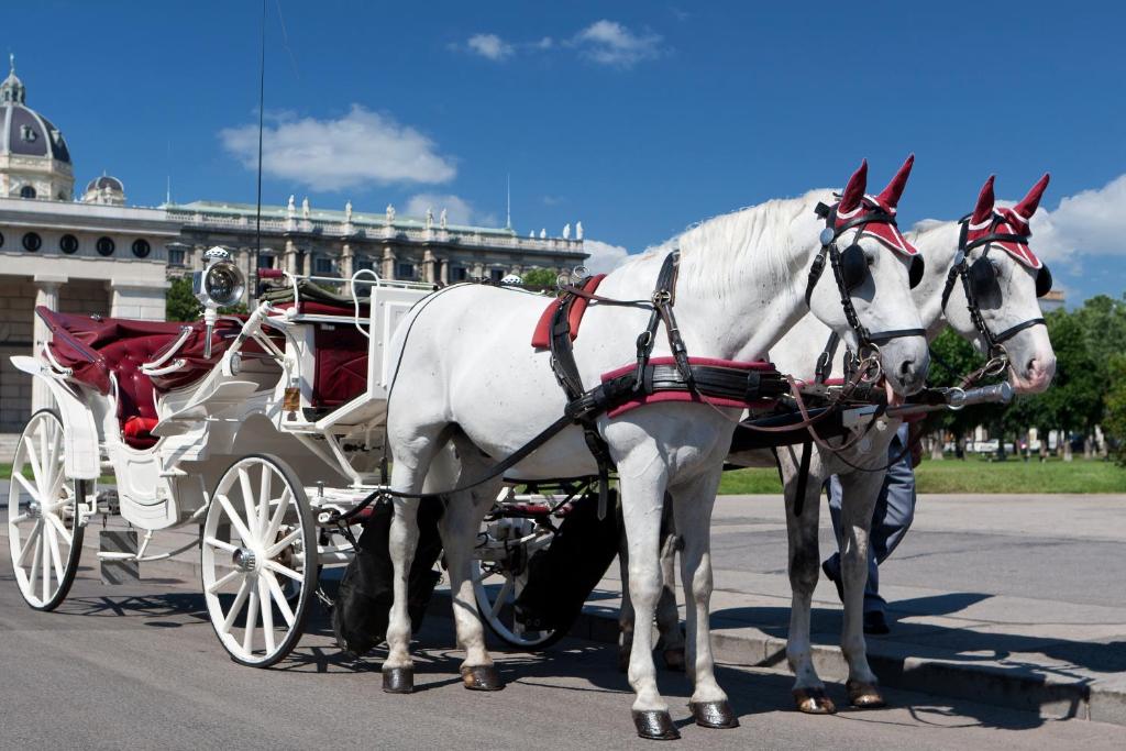 Pension Central I Self Check In - Resim 35