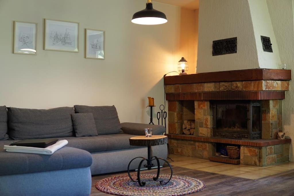 a living room with a couch and a fireplace at Räuberlager 15 in Dammbach