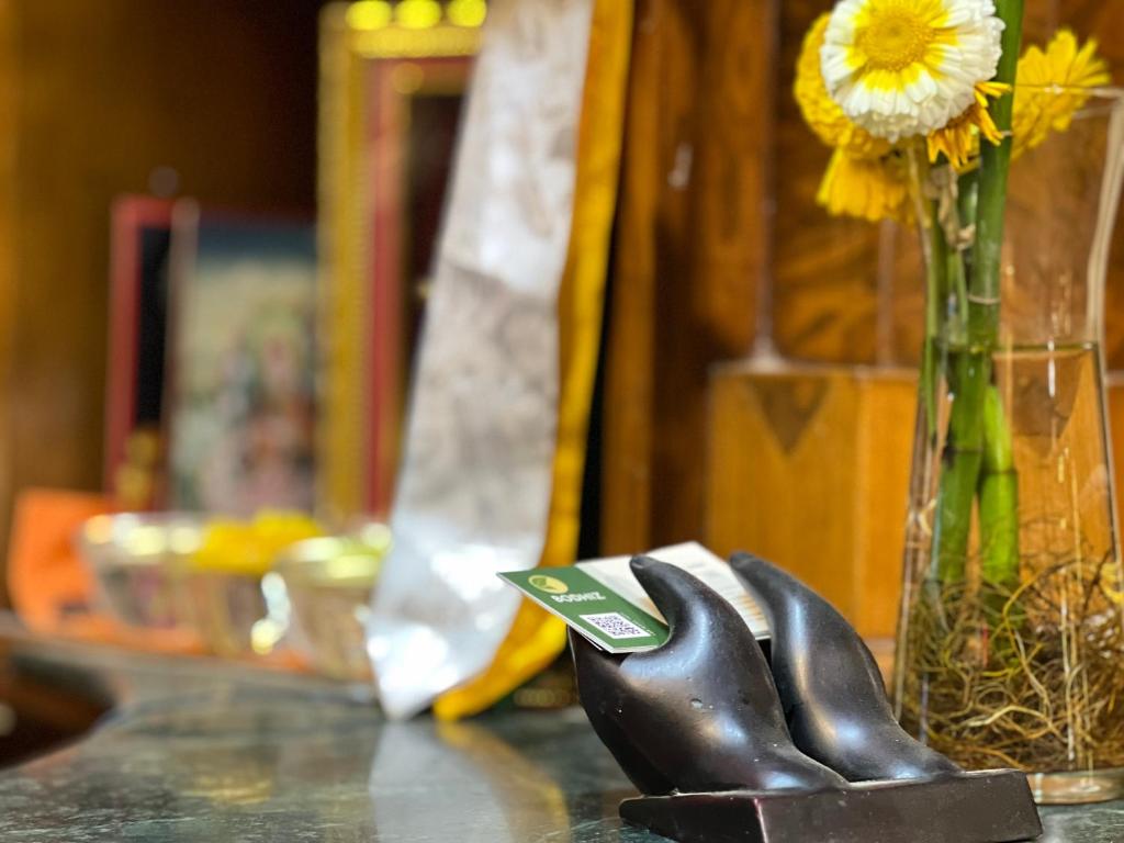 Fotografie z fotogalerie ubytování Hotel Bodhiz v destinaci Kathmandu