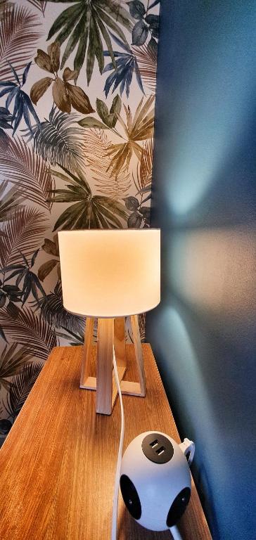 Disneyland cosy Apartment - 15