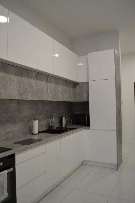 Kuchyňa alebo kuchynka v ubytovaní Exclusive Loft Tymienieckiego street