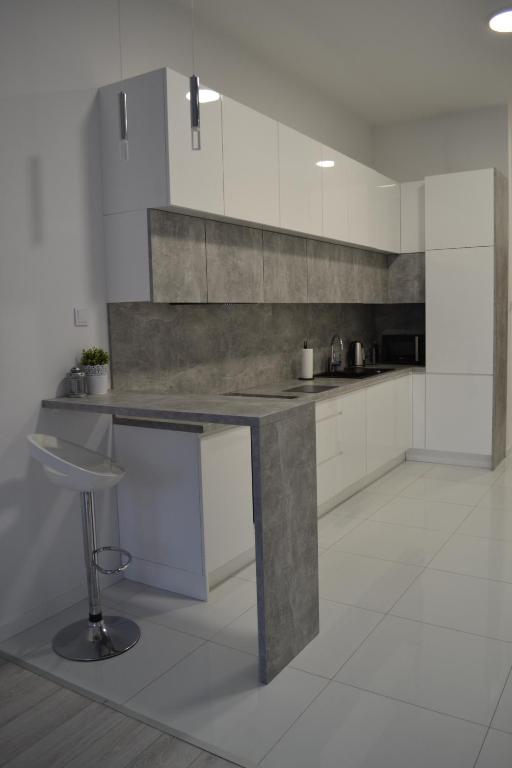 Kuchyňa alebo kuchynka v ubytovaní Exclusive Loft Tymienieckiego street