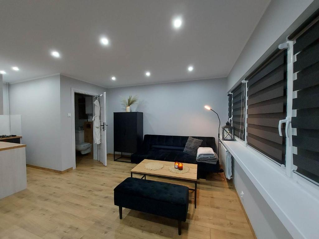 a living room with a couch and a table at Apartament w Centrum in Jastrzębie Zdrój