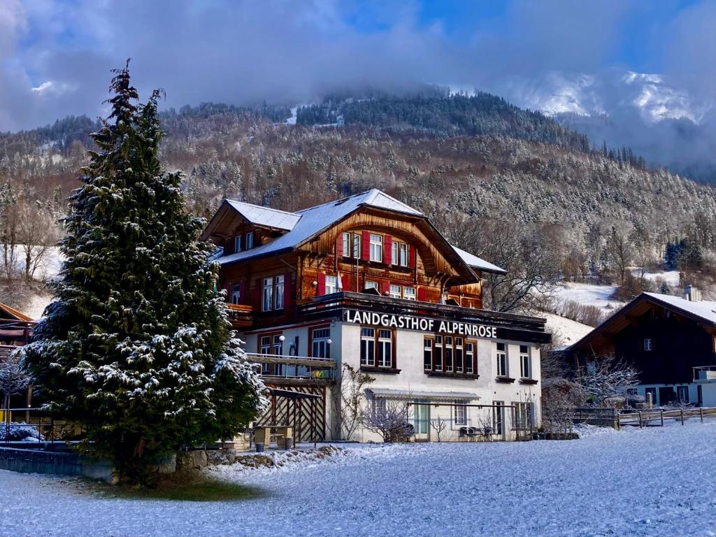 ein großes Gebäude mit einem Weihnachtsbaum davor in der Unterkunft Hotel Alpenrose beim Ballenberg in Brienz