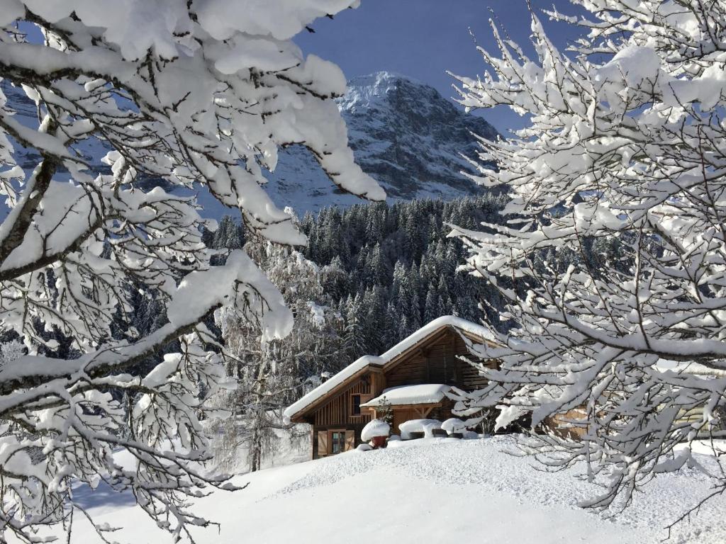 Chalet Eigerhome – The Cottage by Interhome v zimě