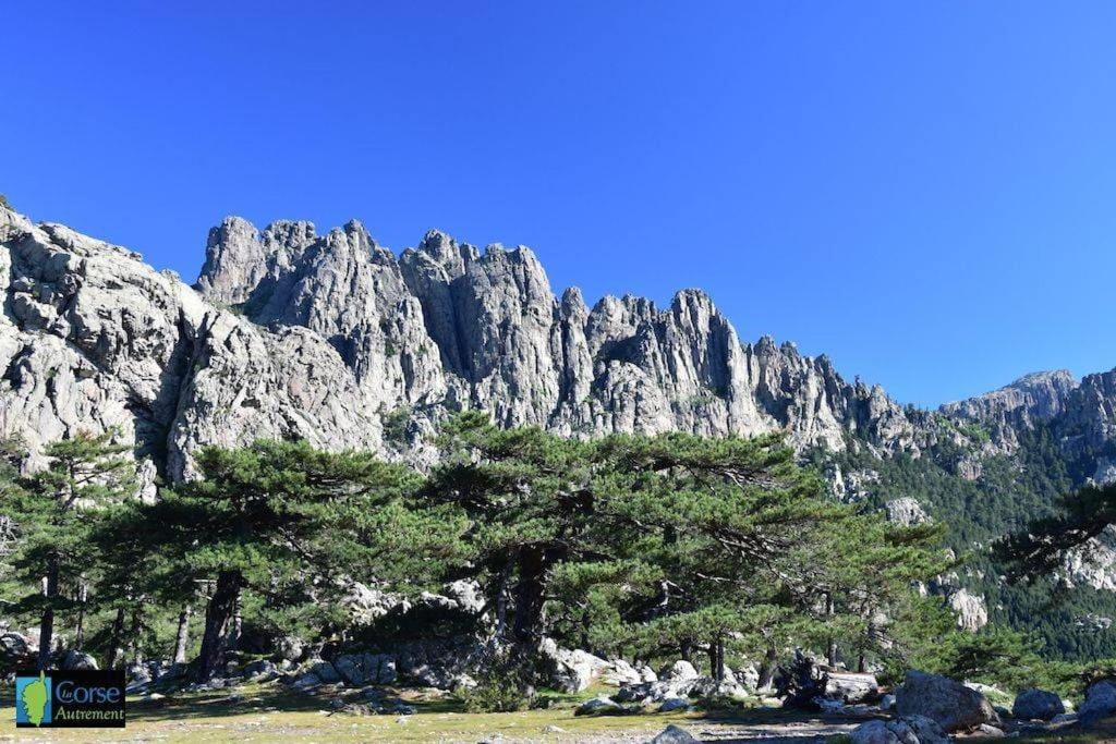 Príroda v okolí dovolenkového domu