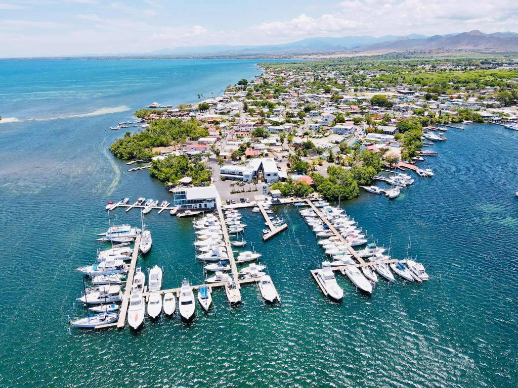 an aerial view of a marina with boats in the water at Marina de Salinas in Salinas