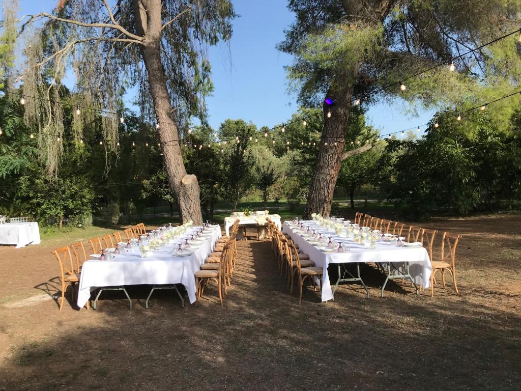 Zahrada ubytování Ktima Loumoumba, Private Villa