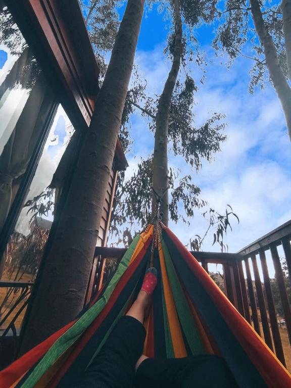 Fotografie z fotogalerie ubytování Casa en el Árbol Guatavita v destinaci Guatavita