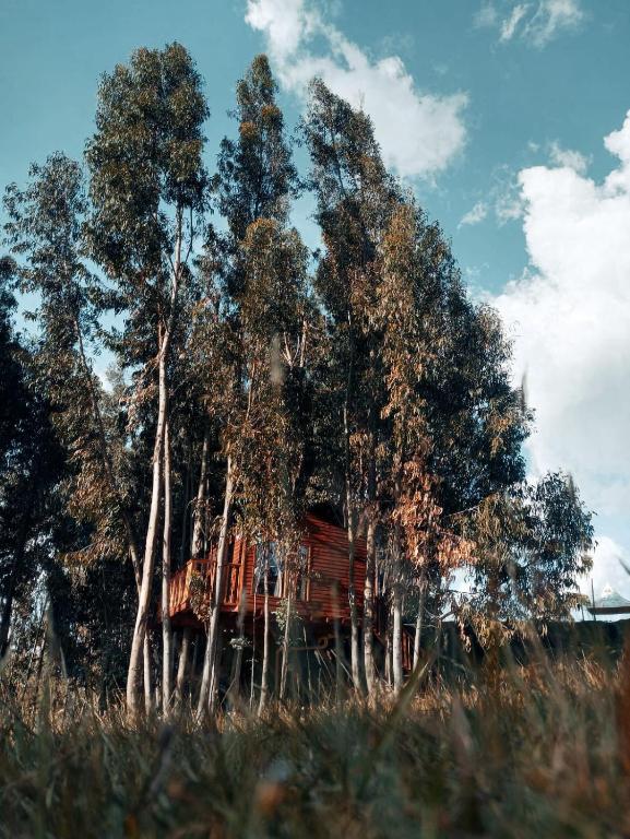Příroda nedaleko kempu