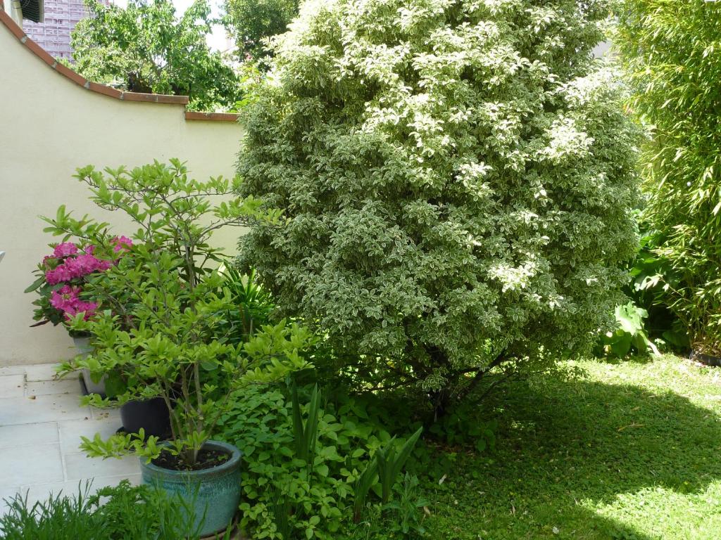Vonkajšia záhrada v ubytovaní Gite aux Minimes - Au jardin des alouettes