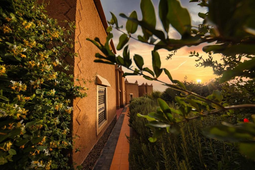 Zahrada ubytování Ecolodge l'île de Ouarzazate