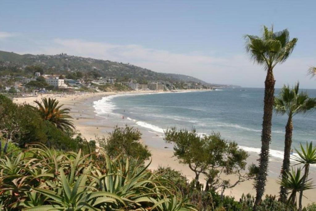 a view of a beach with palm trees and the ocean at Laguna Shores Studio Suites in Laguna Beach