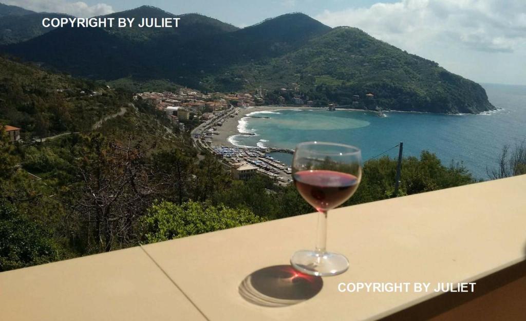 Juliet - apartment in Liguria 5 Terre UNESCO site في ليفانتو: كوب من النبيذ على طاولة