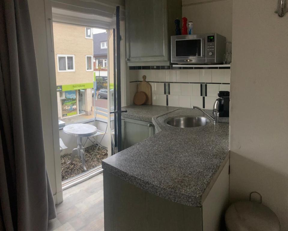 een keuken met een wastafel en een magnetron bij city-apartment een hele verdieping voor jezelf midden in het centrum in Apeldoorn