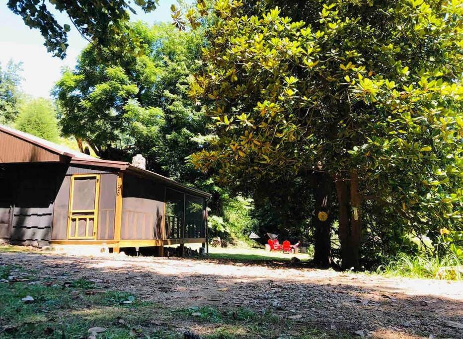 Butler的住宿－Cabin at the cove at Watauga Lake，停在树旁的一辆旧火车车厢