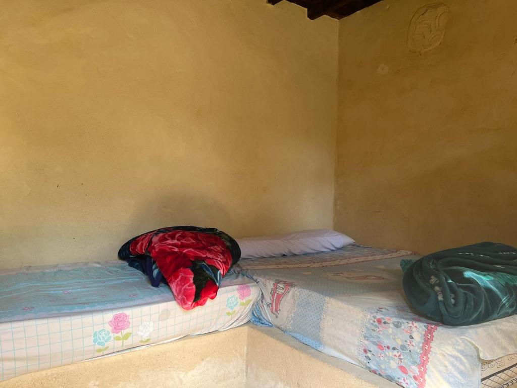 Zad El Mosafer Guest House - Tek Kişilik Oda - Bahçe Manzaralı