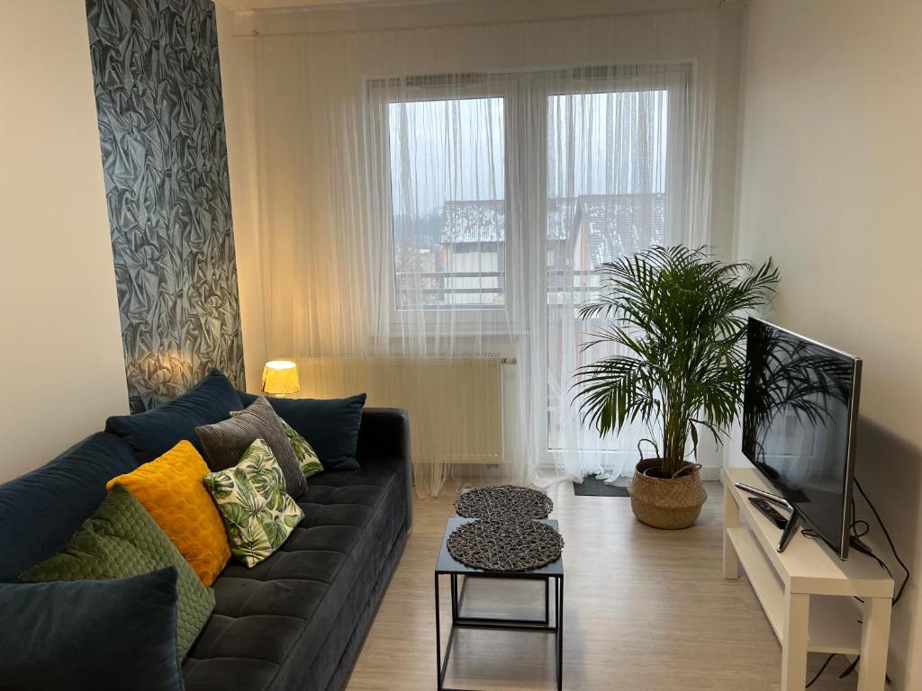 uma sala de estar com um sofá e uma televisão em Apartament Nikodema em Leszno