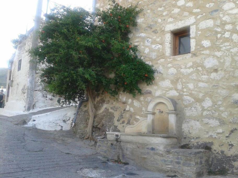 Fotografia z galérie ubytovania Casa Villaggio Kritsa v destinácii Kritsá