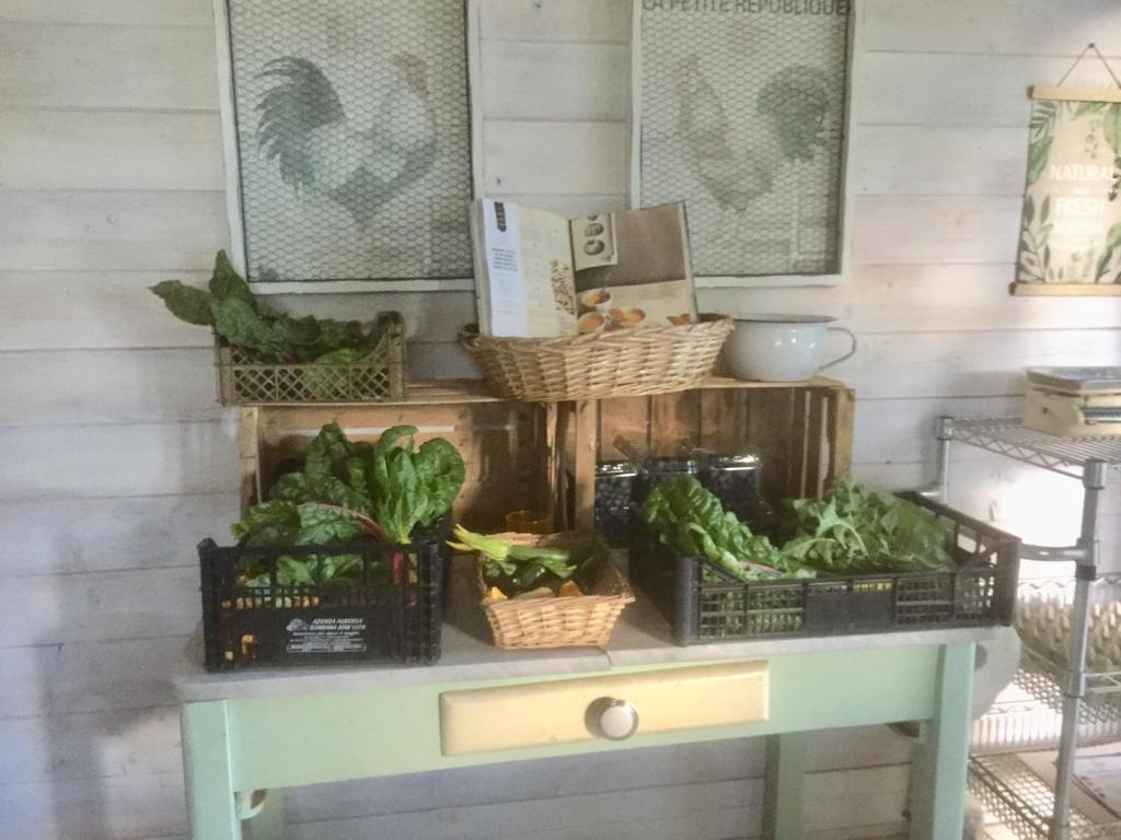 Zdjęcie z galerii obiektu Bilocale in the Farm- Malpensa-Lago Maggiore w mieście Varallo Pombia