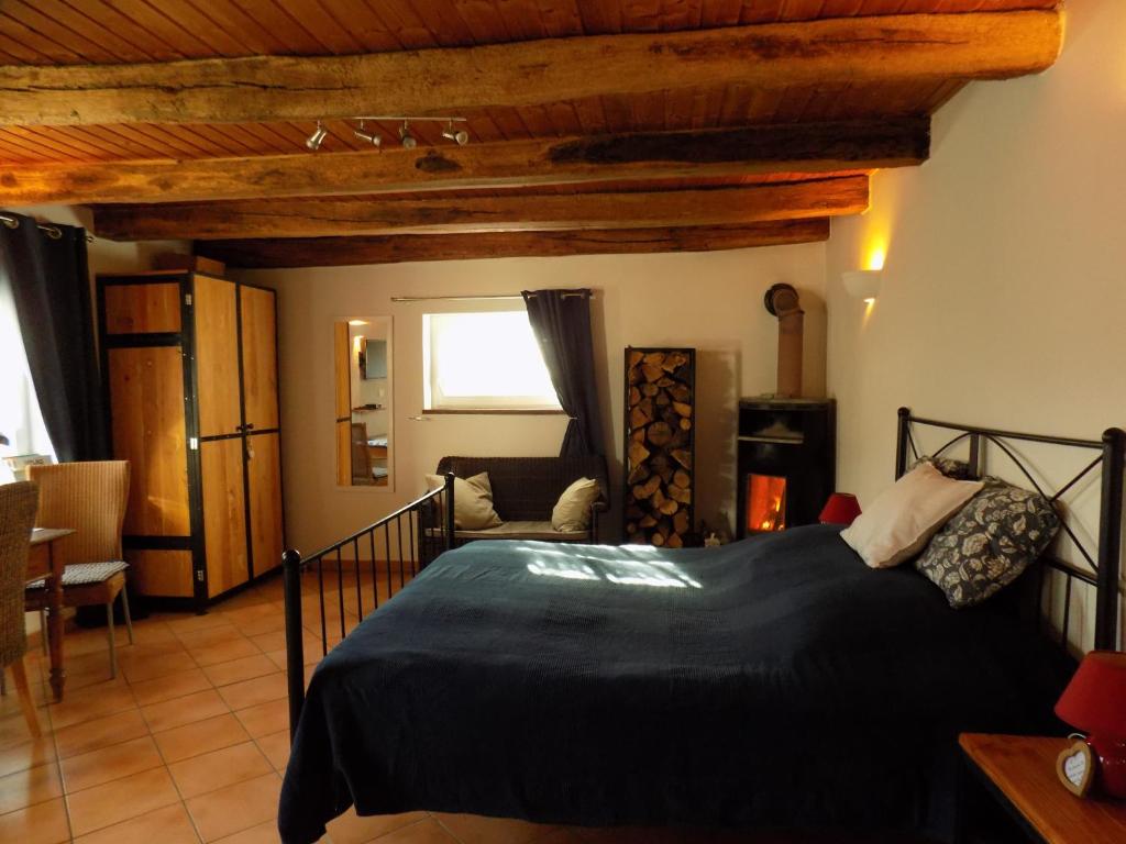 a bedroom with a bed and a living room at Domaine de la Mance - Maisonnette avec cheminée in Vitrey