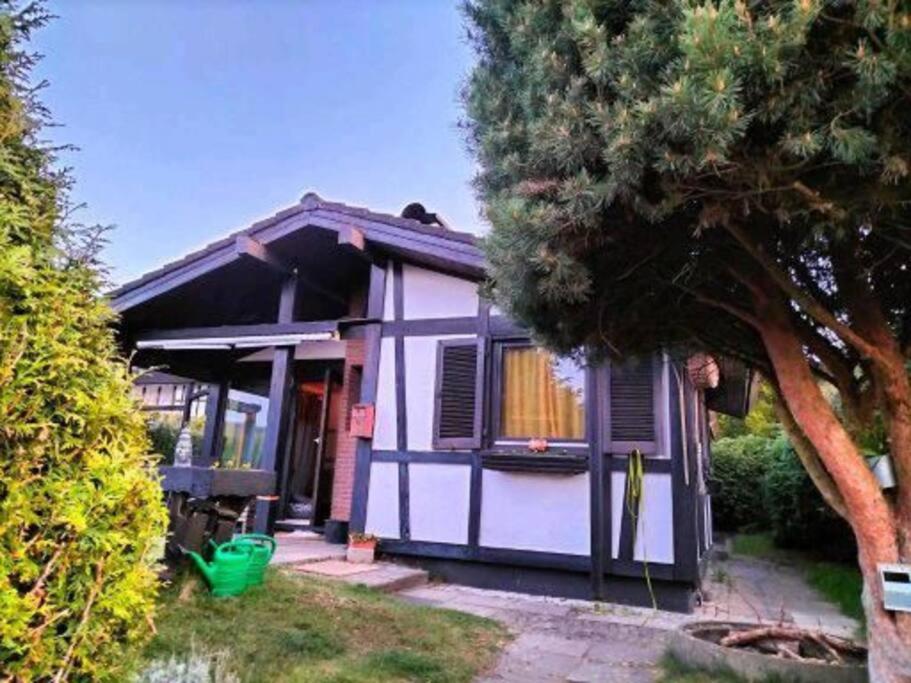 a small blue and white house with a tree at Ferienhaus am Listersee in Meinerzhagen