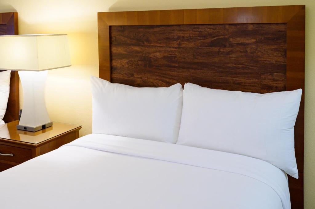 Los Angeles : Airtel Plaza Hotel chambre standard