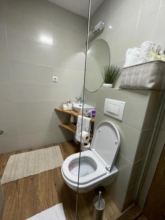 Koupelna v ubytování Apartman Element