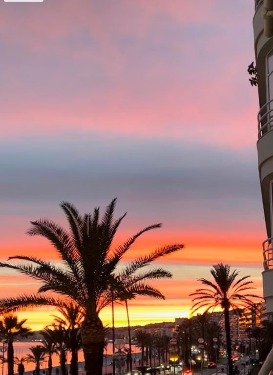 Endless Stunning Mediterranean Sea Views Promenade Des Anglais - Apartment With Sea View