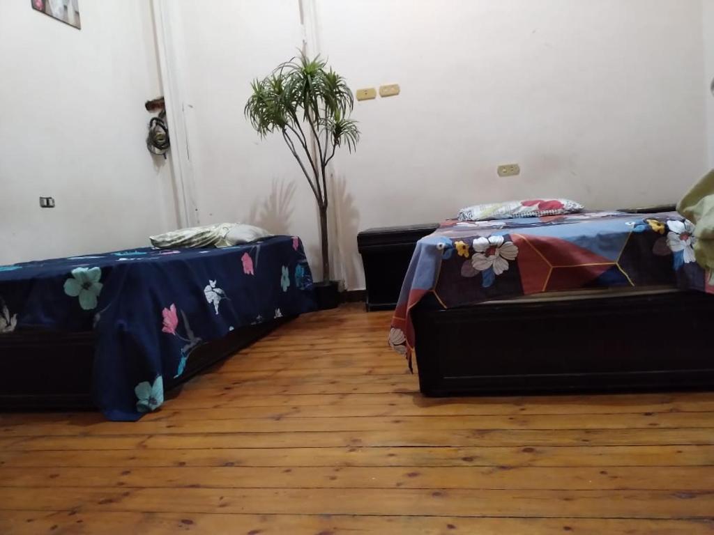 Postel nebo postele na pokoji v ubytování New Safari Hostel