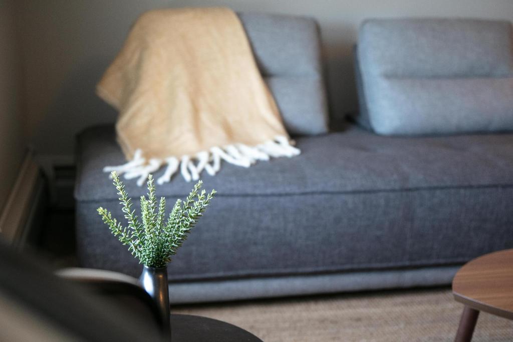 Posezení v ubytování Auberge des Cantons