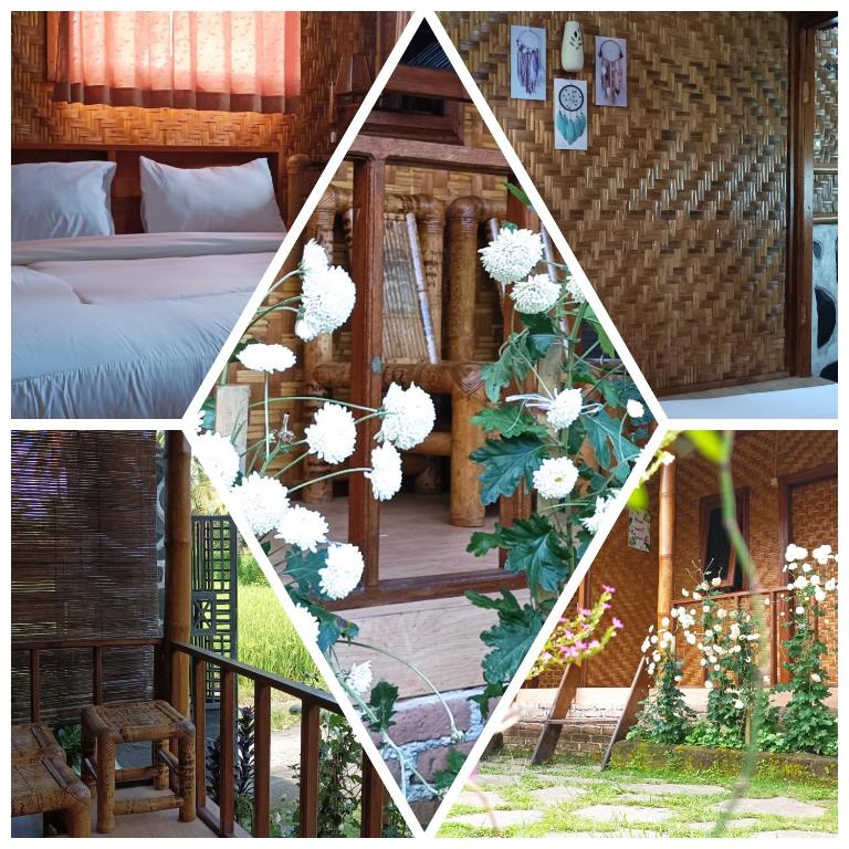 Mysha Guest House-Lombok - 5
