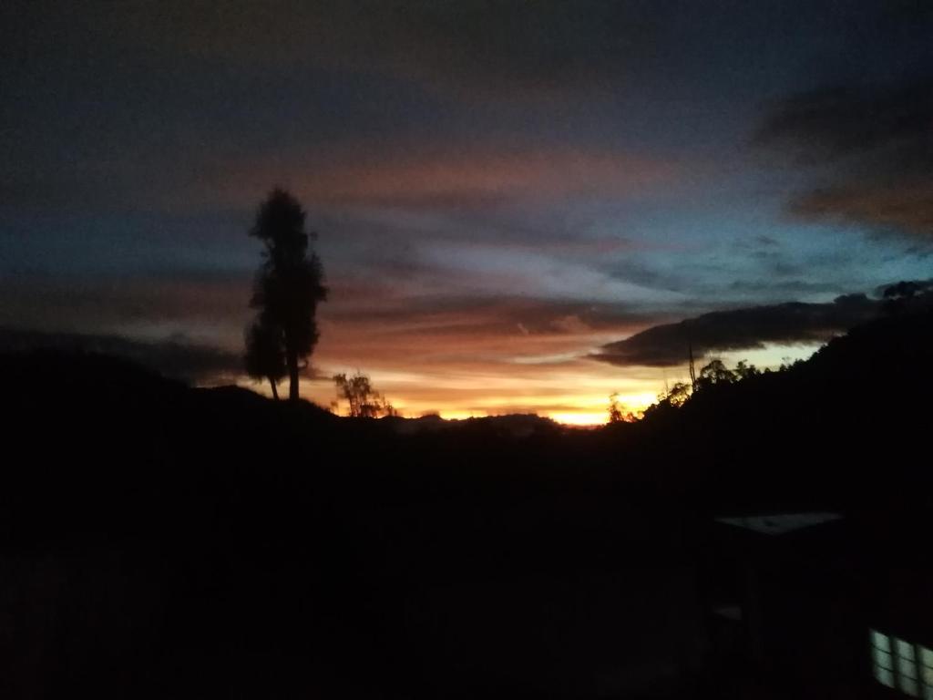 Forest Cyniciam Homestay - 11