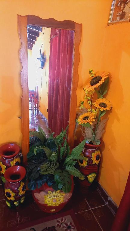 Hospedaje Luque في Luque: مجموعة من المزهريات مع النباتات في الغرفة