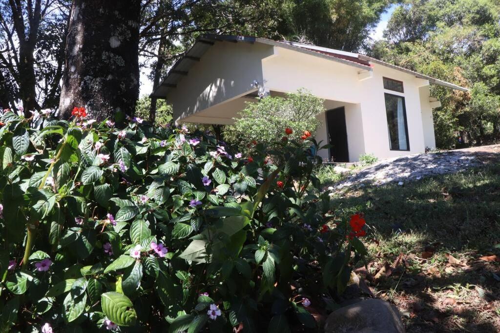 Zahrada ubytování Eucalyptus Cabin Boquete