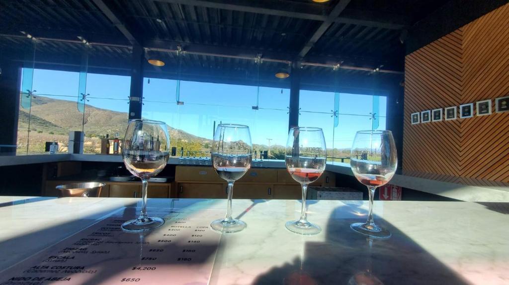 Nápoje v ubytování Ecovino Valle de Guadalupe