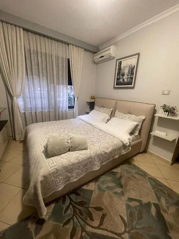 Nice central apartment in Tirana city - Image 2