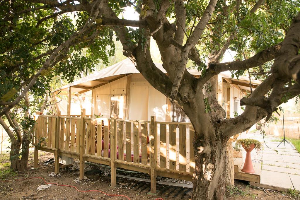 a small house with a tree in front of it at Ciriga Sicily Glamping Resort in Santa Maria Del Focallo