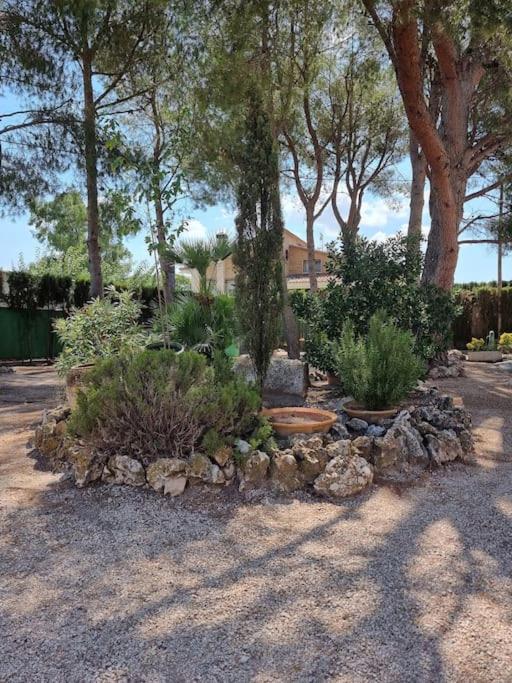Zahrada ubytování El Rulón, gran villa rural con piscina privada