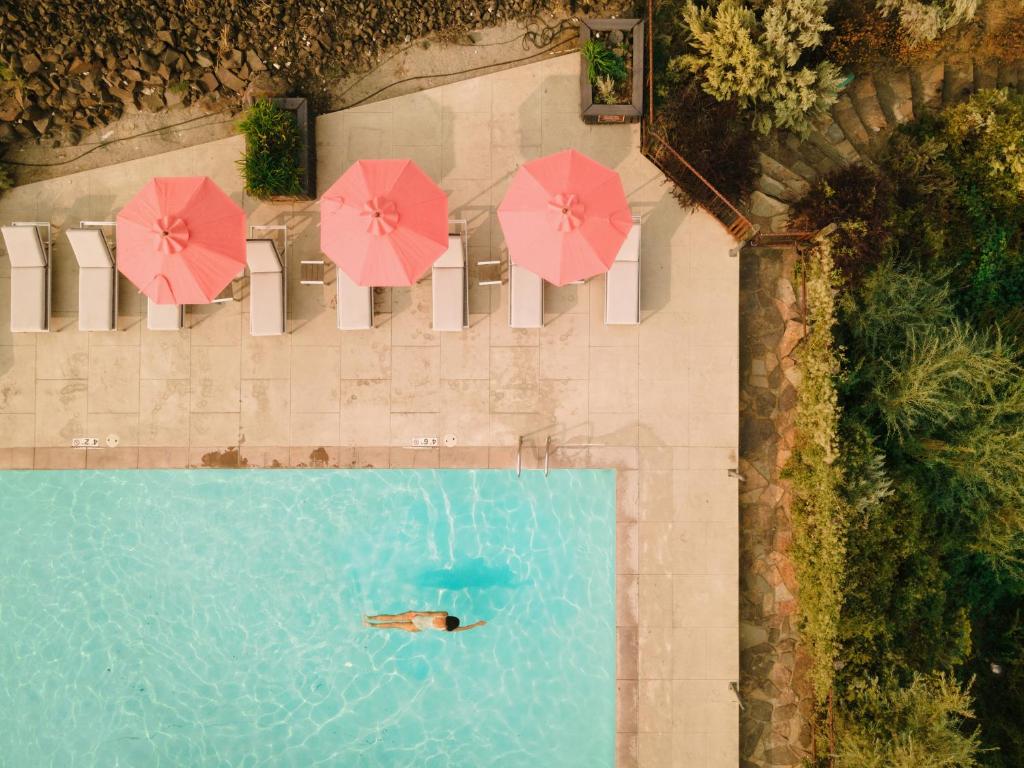 Bazén v ubytování Sagecliffe Resort & Spa nebo v jeho okolí